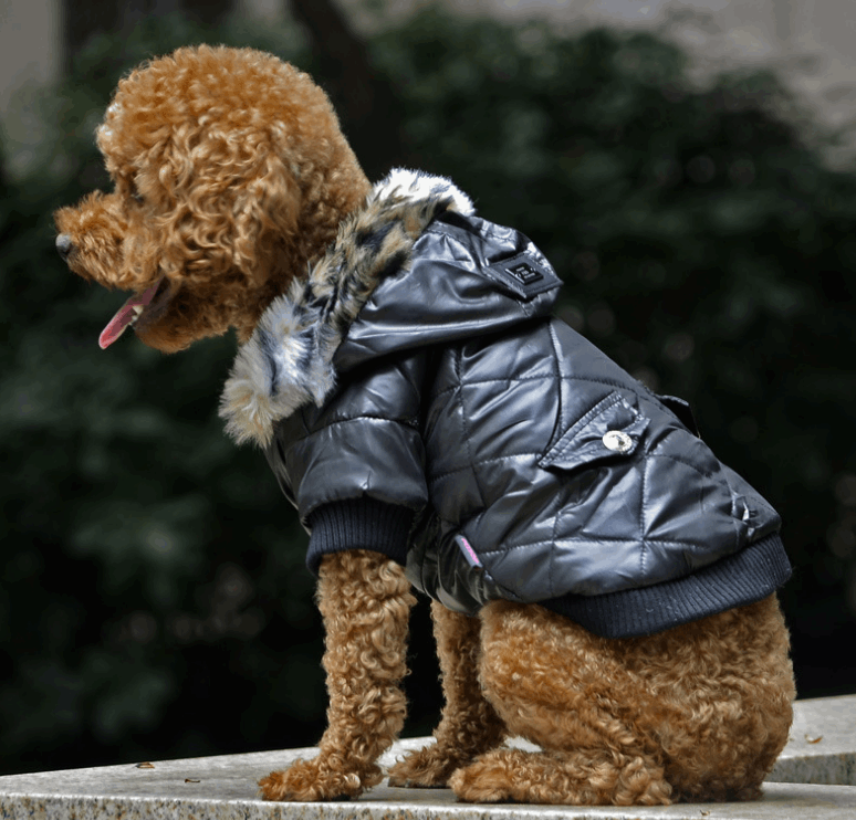Cross-border pet supplies pet clothes dog clothes autumn and winter fur collar coat pet dog clothing - Homreo