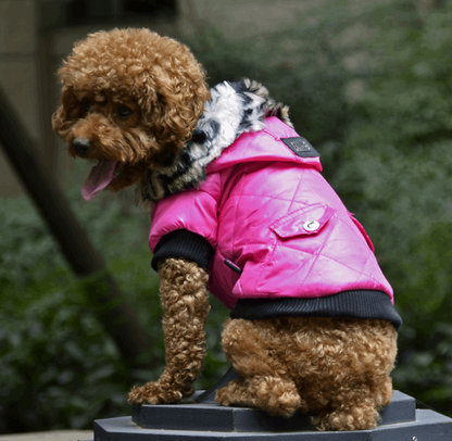 Cross-border pet supplies pet clothes dog clothes autumn and winter fur collar coat pet dog clothing - Homreo