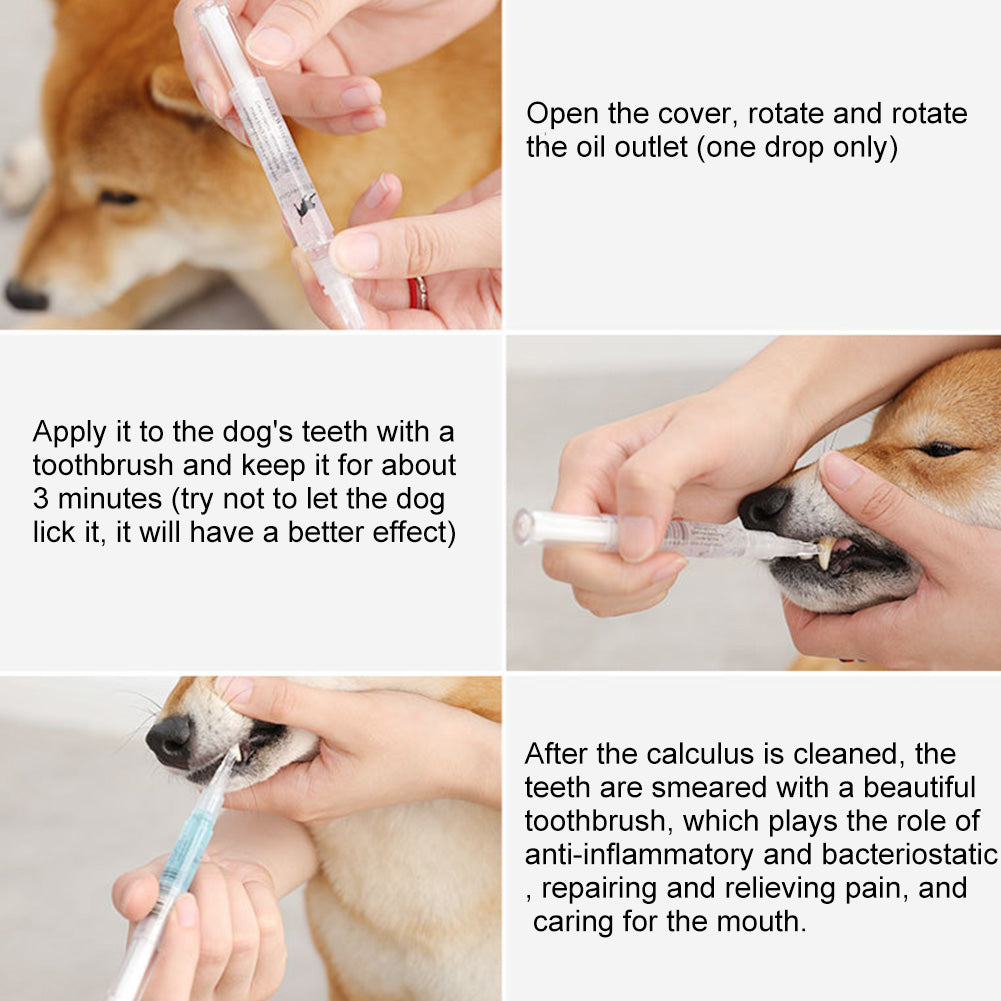Pet Teeth Repairing Kit For Dog Cat Teeth Cleaning Pen Kit - Homreo